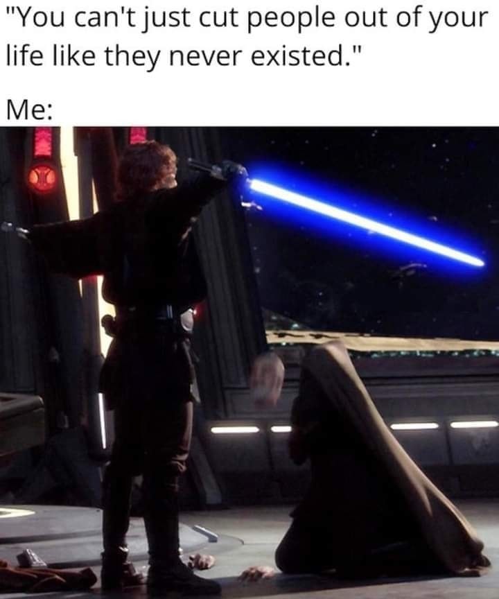 This meme features a scene from the movie Star Wars: The Clone Wars, where Anakin Skywalker (Darth Vader) is about to kill his mother, but his mother is actually his mother, and he is about to kill his mother. The text at the top of the meme reads, "You can't just cut people out of your life like they never existed."